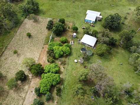 Coffee in the Philippines Part 1: A Look at the Islands’ Original Farms.